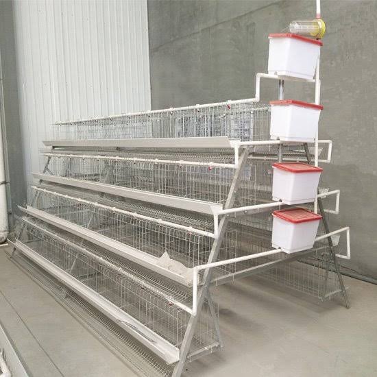 A-Type Poultry Cage System