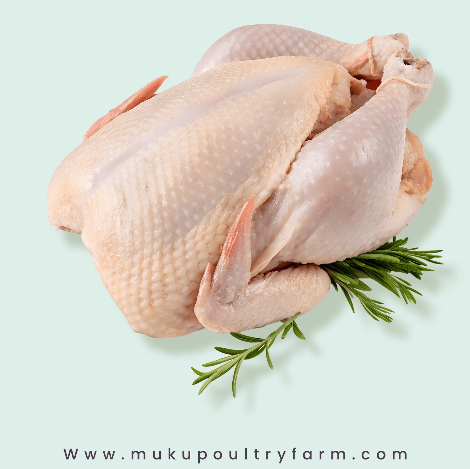 Processed Broiler Chicken per kg