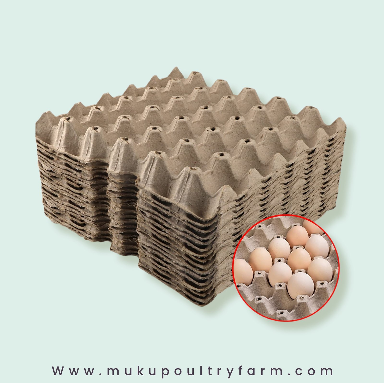 Paper Egg Trays