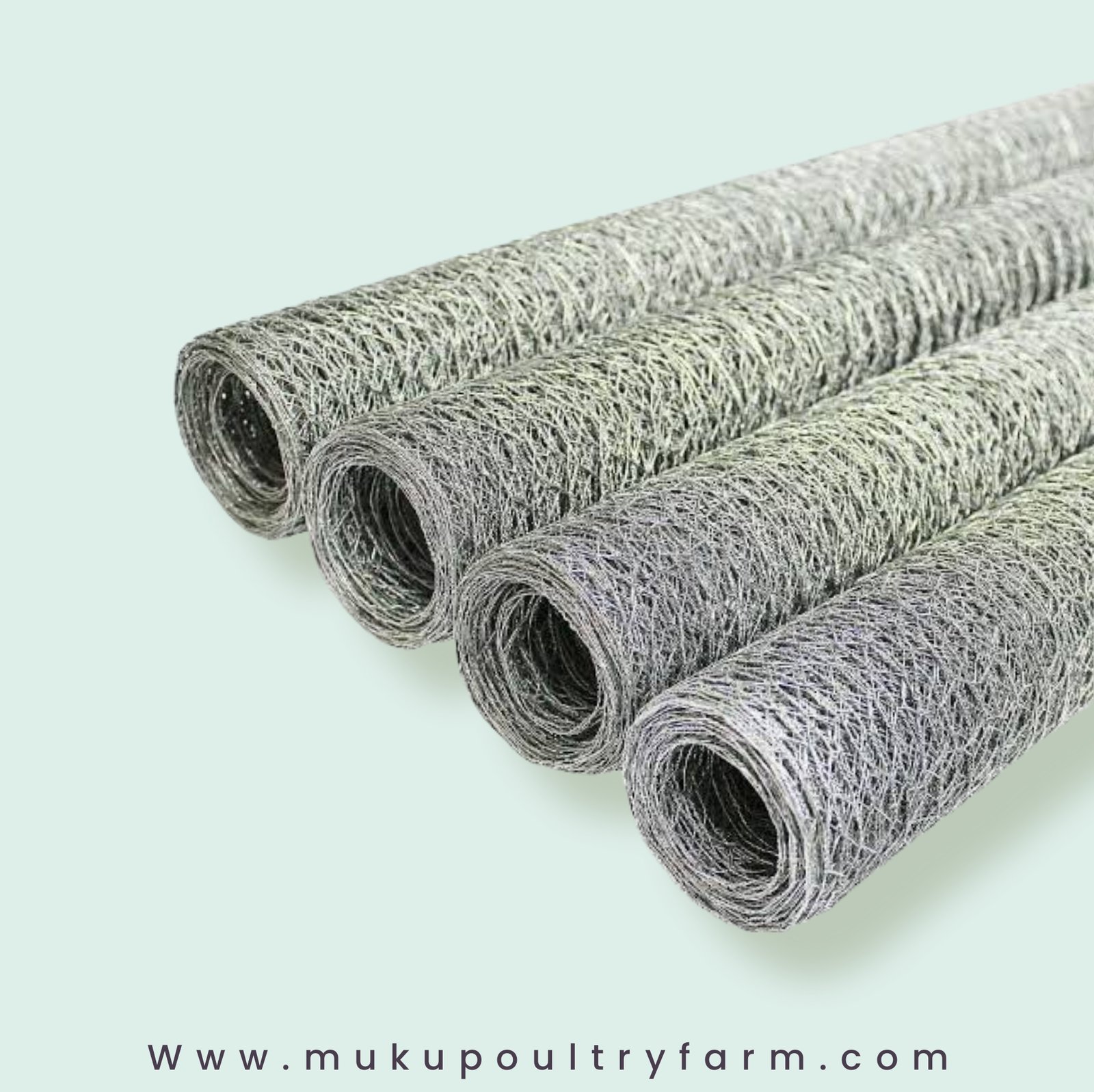 Chicken Wire Mesh